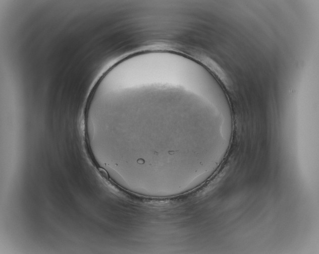 X0000111811428200908061106
