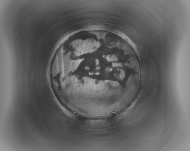 X0000111811429200908061106