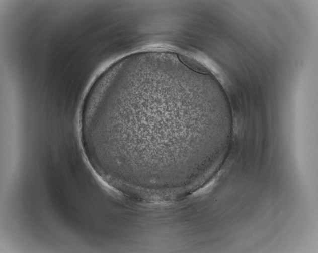 X0000111811430200908061106