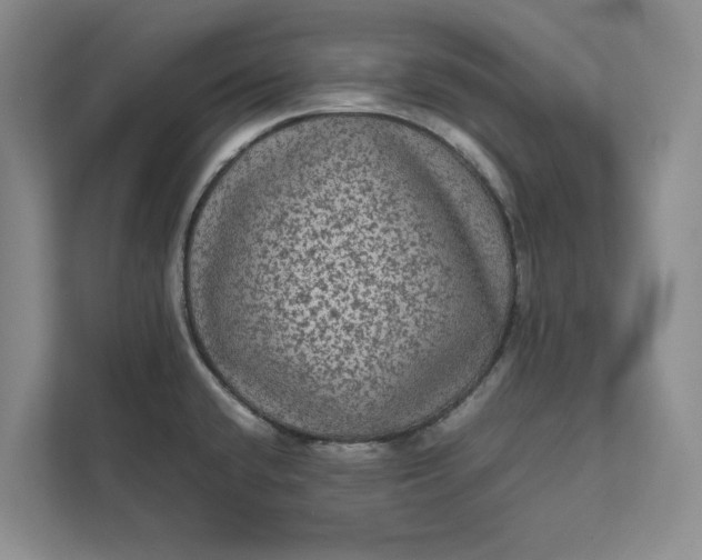 X0000111811432200908061106