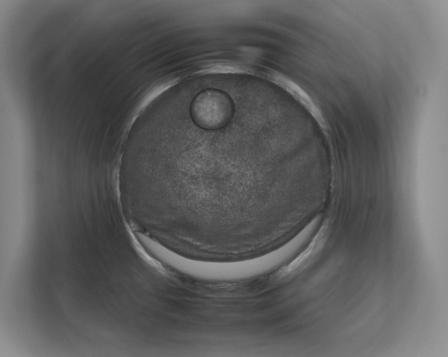 X0000111811433200908061106