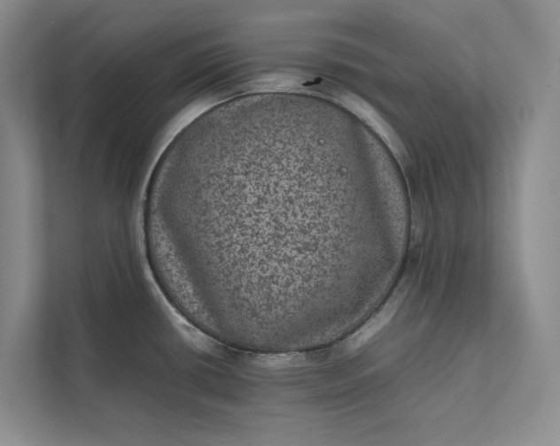 X0000111811434200908061106