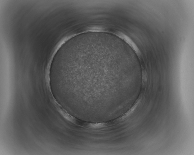 X0000111811435200908061106