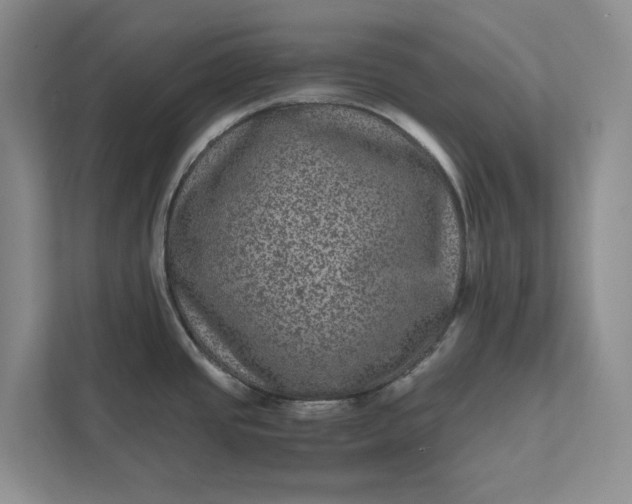 X0000111811437200908061106