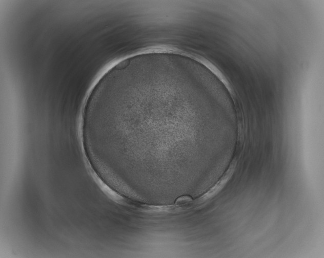 X0000111811438200908061106