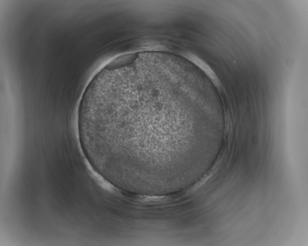 X0000111811439200908061106