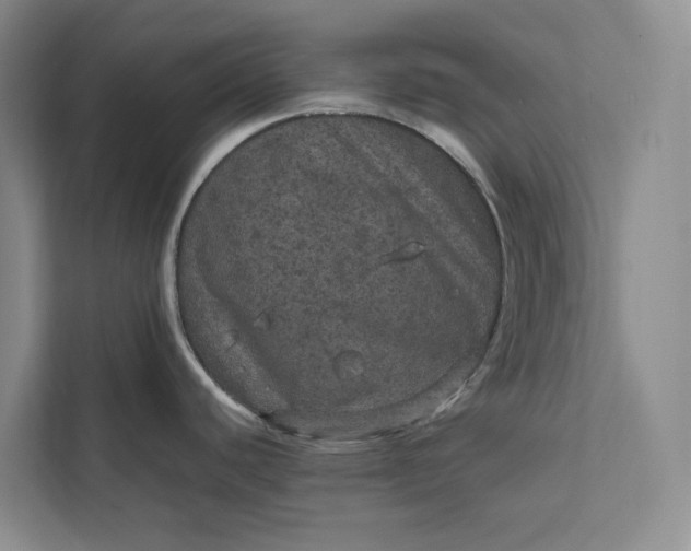 X0000111811440200908061106