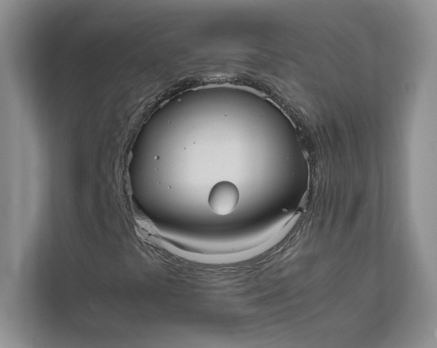 X0000111811441200908061106