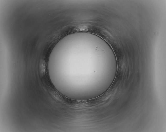 X0000111811442200908061106