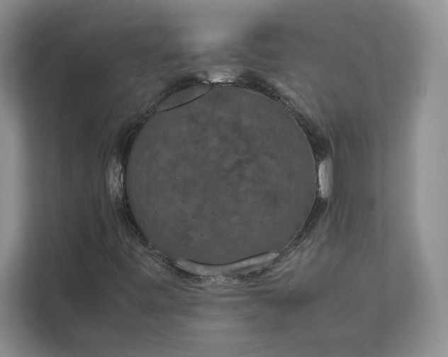X0000111811443200908061106