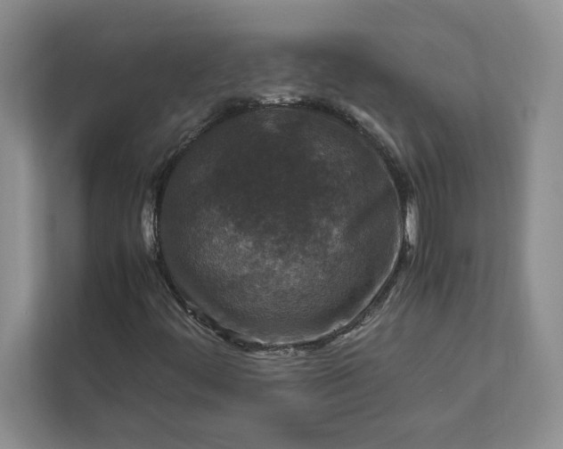 X0000111811444200908061106