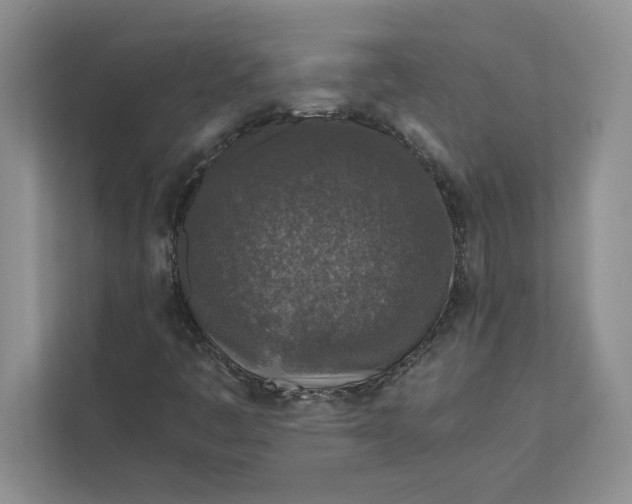 X0000111811445200908061106