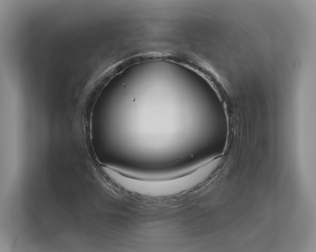 X0000111811448200908061106