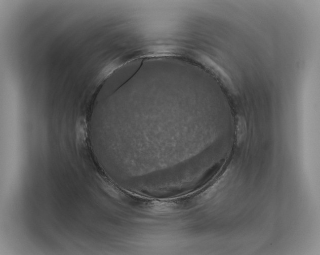 X0000111811449200908061106