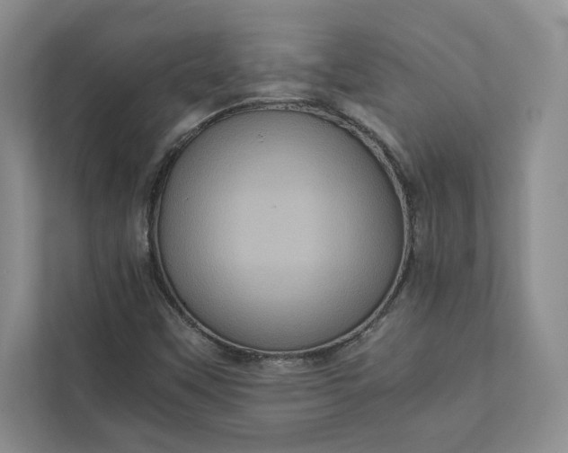 X0000111811451200908061106