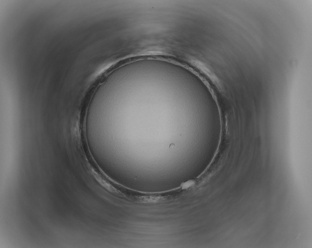 X0000111811452200908061106