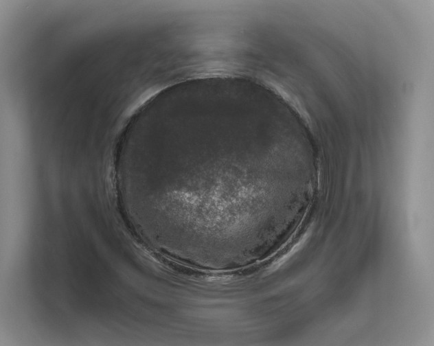 X0000111811453200908061106