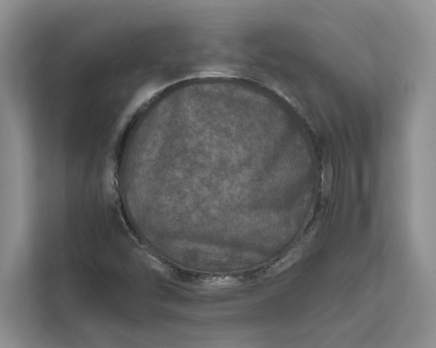 X0000111811454200908061106