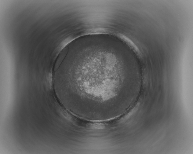 X0000111811457200908061106