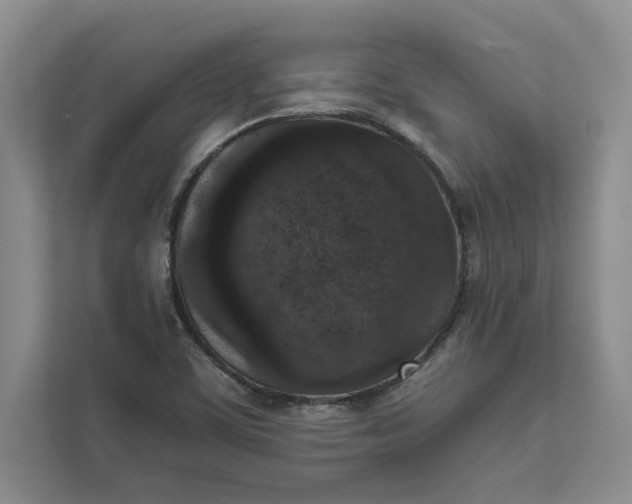 X0000111811459200908061106
