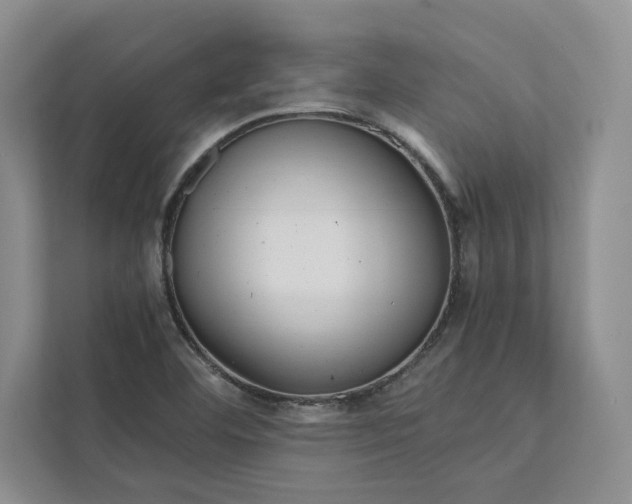 X0000111811460200908061106