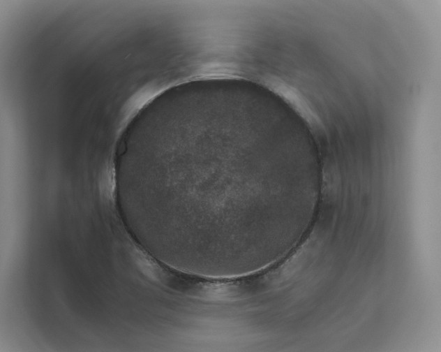 X0000111811461200908061106