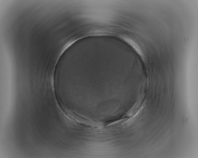 X0000111811465200908061105
