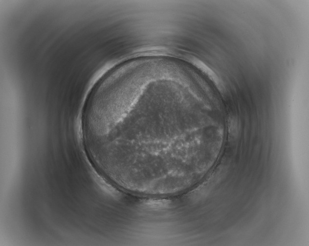 X0000111811466200908061105