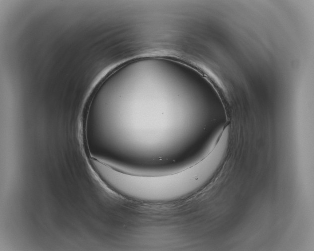 X0000111811468200908061105