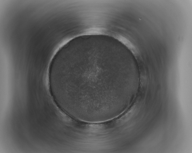 X0000111811469200908061105