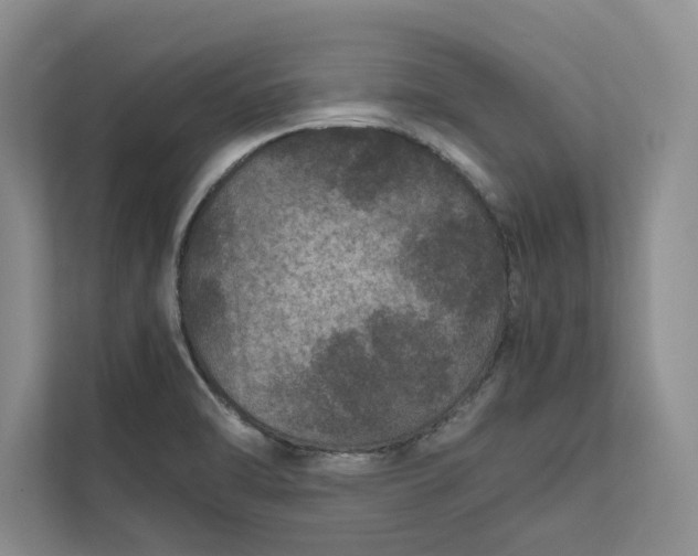 X0000111811470200908061105