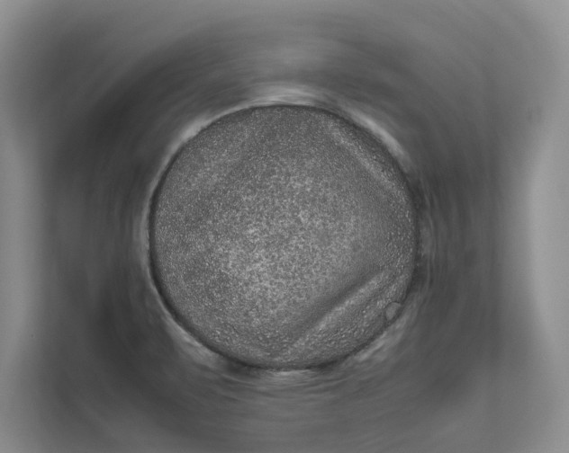 X0000111811471200908061105