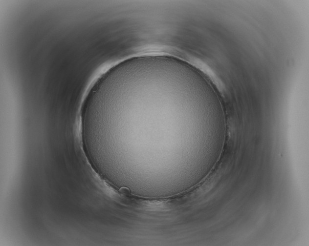 X0000111811472200908061105
