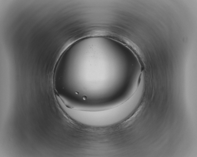 X0000111811473200908061105