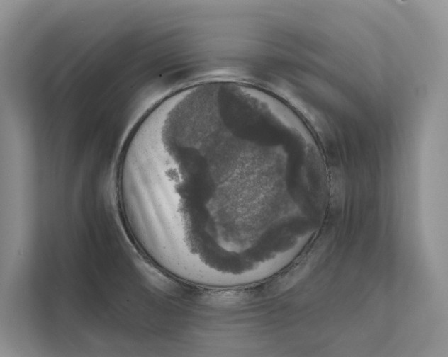 X0000111811474200908061105