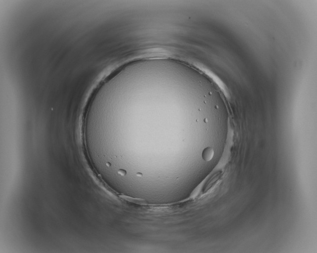 X0000111811477200908061105