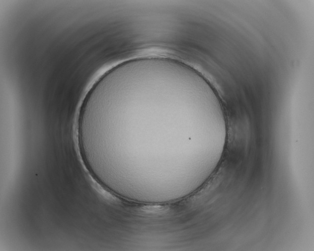 X0000111811478200908061105