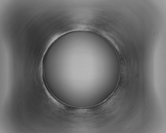 X0000111811479200908061105