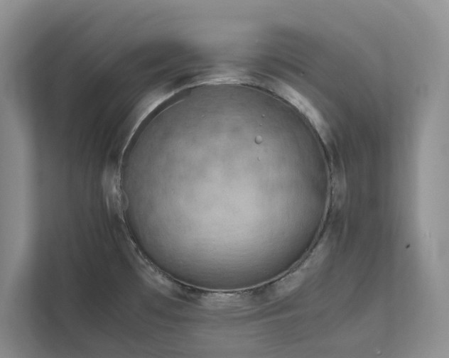 X0000111811481200908061105