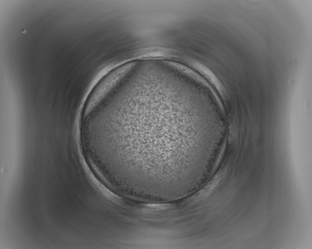 X0000111811483200908061105