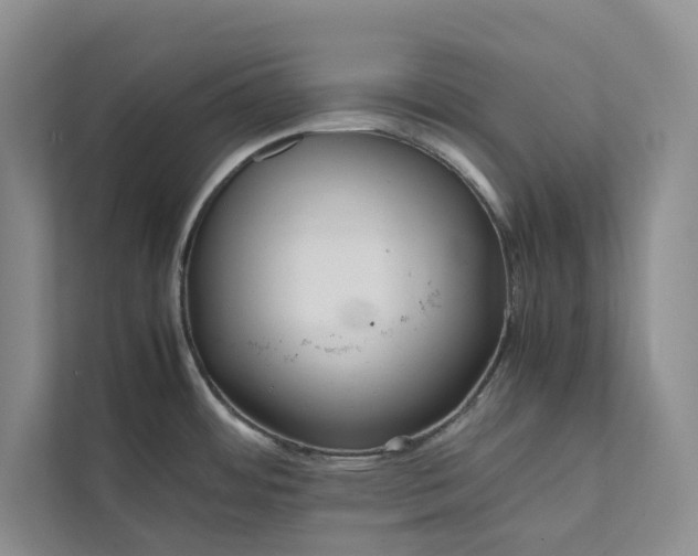 X0000111811484200908061105