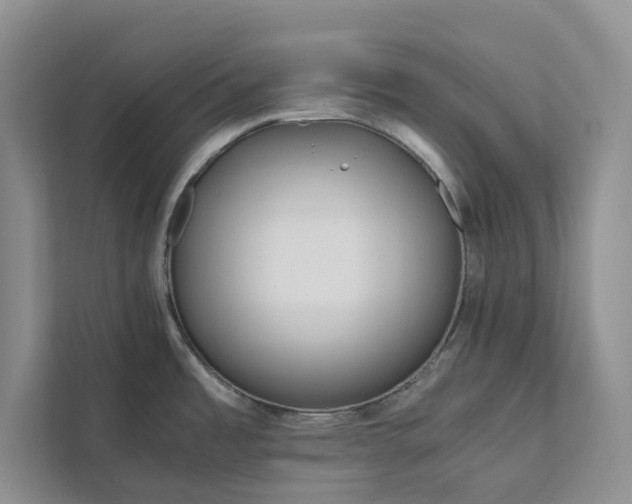 X0000111811485200908061105