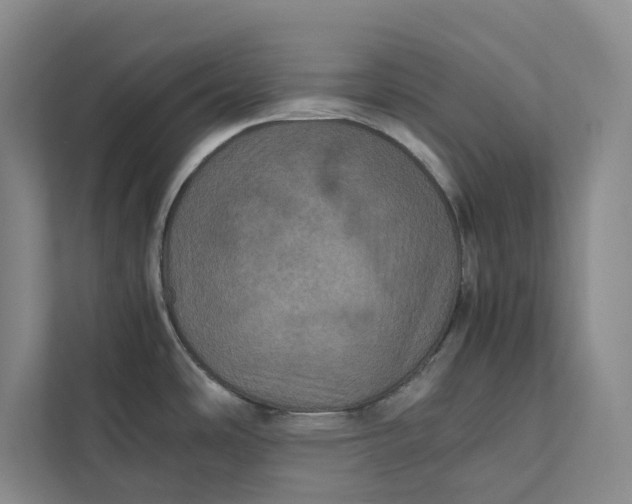 X0000111811486200908061105