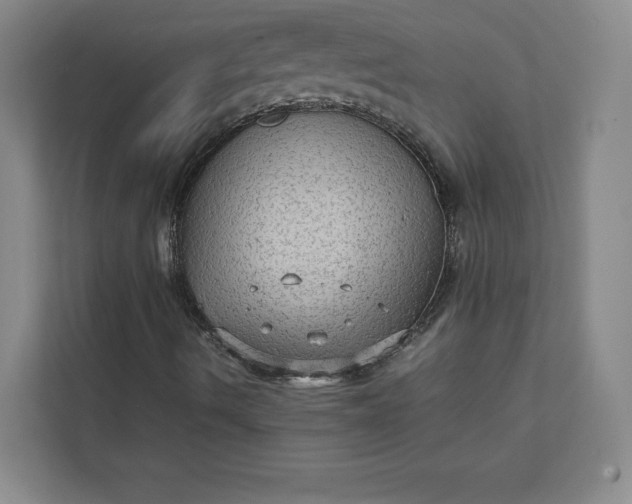 X0000111811490200908061105