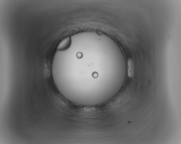 X0000111811491200908061105