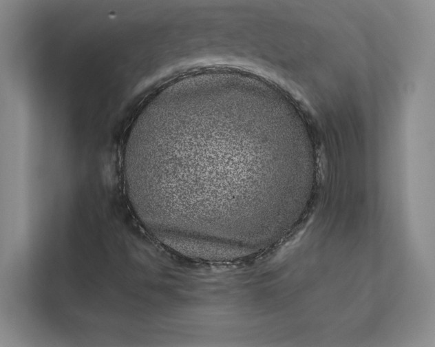 X0000111811494200908061105