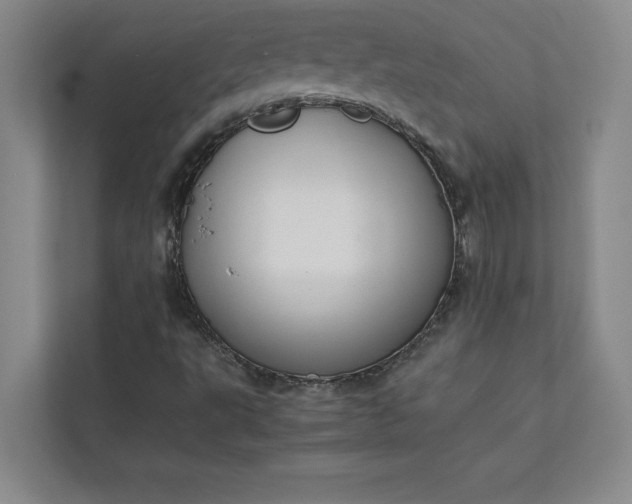 X0000111811495200908061105