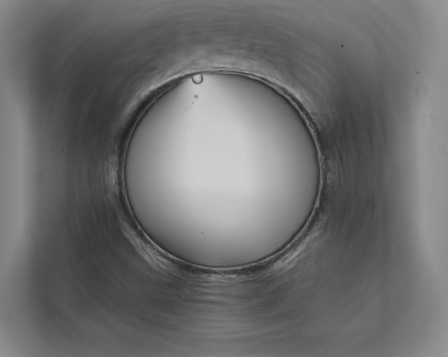 X0000111811499200908061105