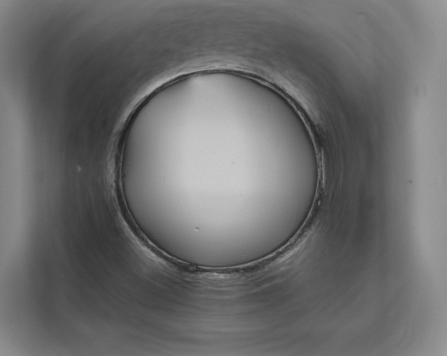 X0000111811500200908061105