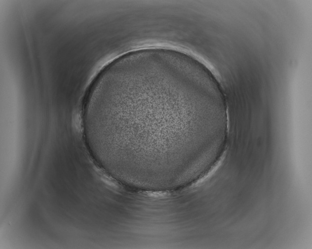 X0000111811501200908061105
